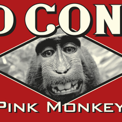 Affiche Kid Congo & The Pink Monkey Birds