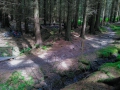 20220603-EWS-Innerleithen-034